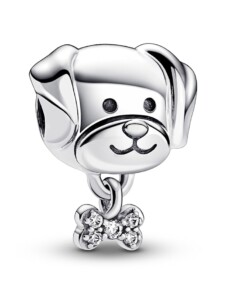 Charm – Haustier Hund & Knochen – Pandora Silber