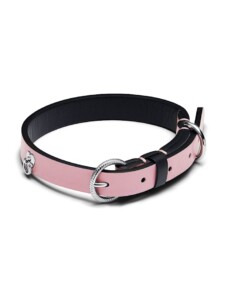 Haustierhalsband – Pink – 312262C02-L Pandora Pink