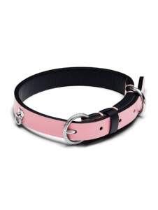Haustierhalsband – Pink – Pandora Multicolor 1