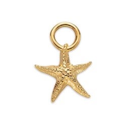 Starfish Charm aus vergoldetem Ocean Steel